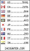 visitors by country counter